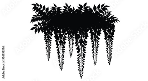 Cascading wisteria vines create a dramatic black silhouette