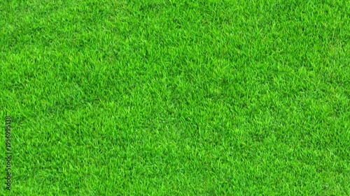 Drone perspective of a thick green lawn surface, illustrating healthy vegetation, proper maintenance, and sustainable outdoor space management for long-lasting turf quality.
