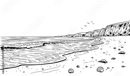 Flat black and white line art vector of sea coast beach with palms, driftwood, and waves