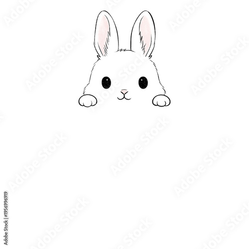 cute peeking rabbit
