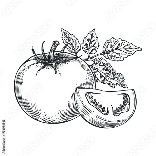Tomato and sliced tomato with green leaves depicted in a detailed vintage engraving style illustration, perfect for culinary designs.
