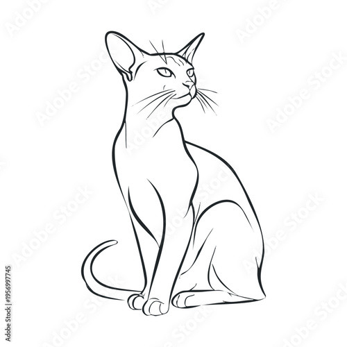 Sleek elegant domestic cat illustration sitting gracefully with its head turned, showcasing its distinctive large ears and slender body in a detailed black outline drawing.
