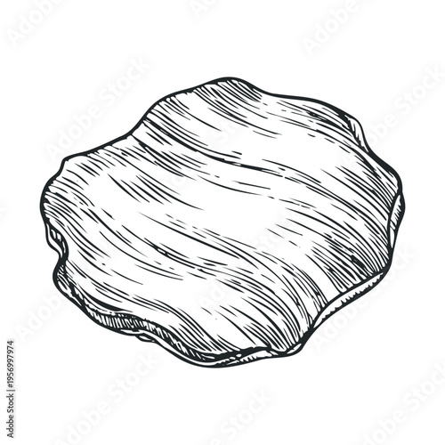 Single crispy irregular potato chip snack, hand-drawn with intricate details in a classic vintage engraved style, perfect for culinary designs.