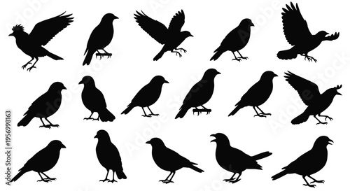 Tableau sur toile A collection of diverse black bird silhouettes perched and in flight silhouette