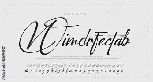 Font lettering handwritten. vector illustration  