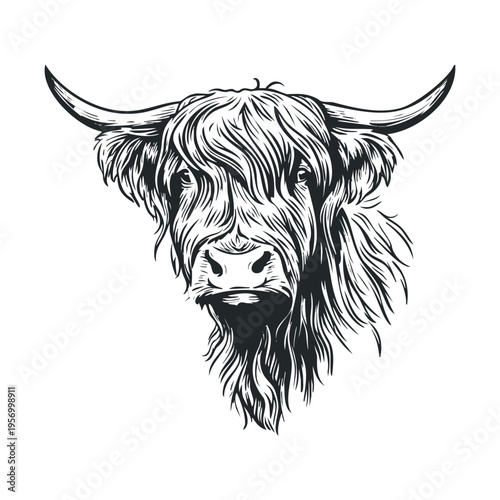 Highland cow head illustration showcasing its distinctive shaggy coat and impressive horns, rendered in a detailed black and white artistic style.