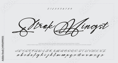 
signature Font Calligraphy Logotype Script Brush Font Type Font lettering handwritten. vector illustration  