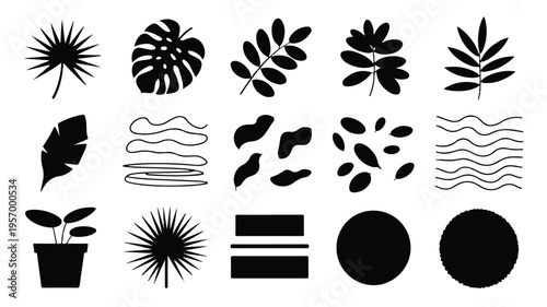 black silhouettes of various leaves and shapes on white background