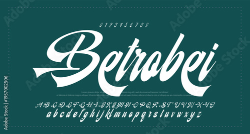 Script Brush Font Type Font lettering handwritten. vector illustration