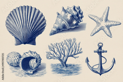 Vintage Scientific Seashell and Ocean Illustration Set Engraving Style Blue Monochrome Isolated 