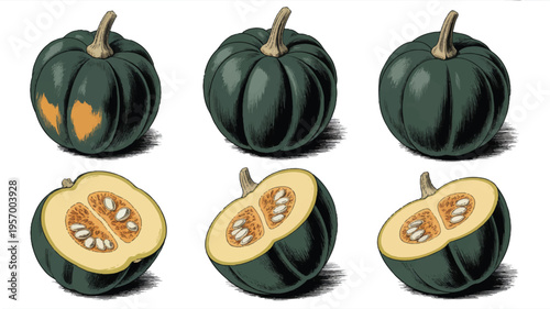 Green pumpkins and halved pumpkins with seeds on white background