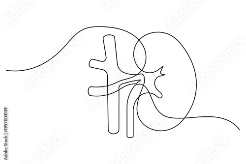 Kidney organ graphic for medical research and healthcare awareness campaign design