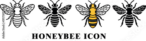 Bee illustrations in varying styles showcasing detail on transparent background