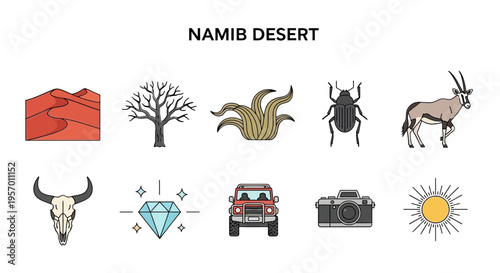 Ten icons representing elements of the Namib Desert including landscapes wildlife and objects