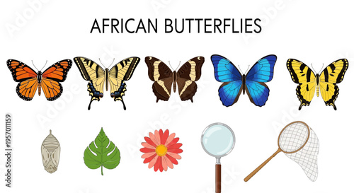 Five African butterflies chrysalis leaf flower magnifying glass and net on white