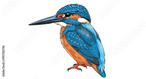 Vibrant kingfisher bird, featuring striking blue and orange plumage and a long, sharp beak, perched attentively, ready to dive for fish.