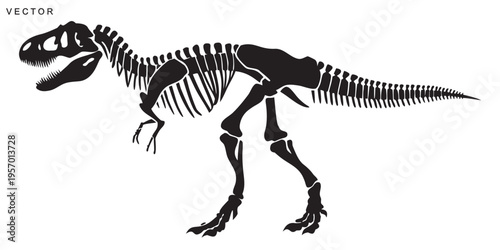 T rex dinosaur skeleton vector design, dragon, dino negative space silhouette on a white background