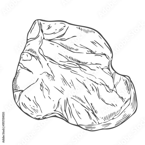 Hand drawn Ribeye Steak Sketch illustration