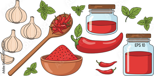 Chili sauce ingredients set with peppers garlic spices and jars hot food seasoning vector illustration collection