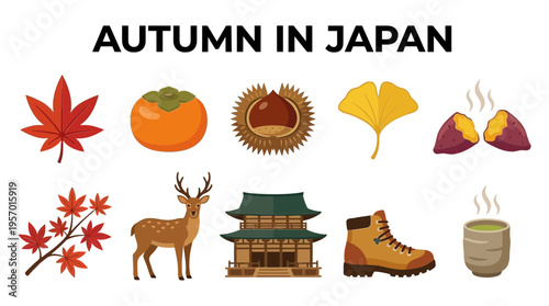 Illustrations representing autumn elements in Japan including leaves food animals and structures