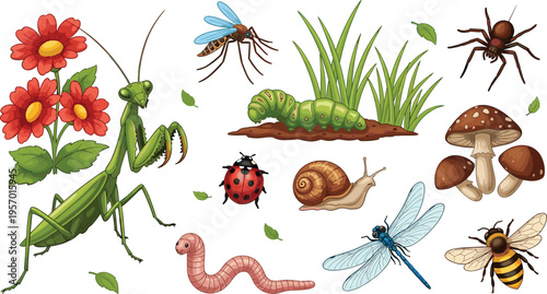 Garden insects and bugs collection with mantis caterpillar ladybug snail dragonfly and flowers detailed vector illustration set
