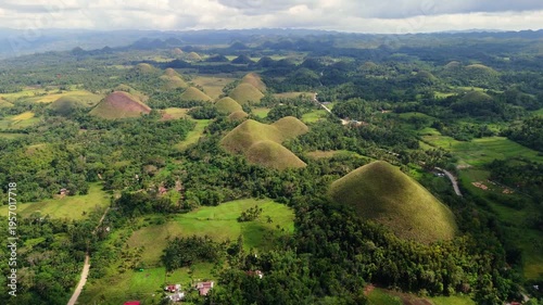 Aerial view of a winding road passing through the unique Chocolate Hills of Bohol, Philippines