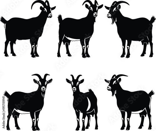A collection of six black goat silhouettes displayed in various standing poses on a white background Vector