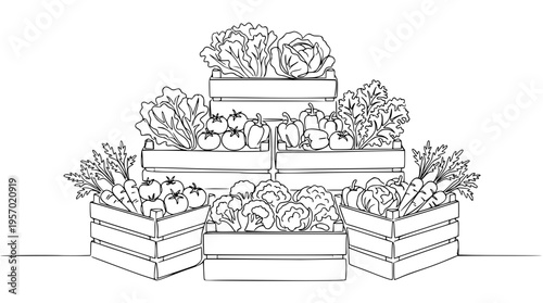Crates of fresh vegetables and fruits on display