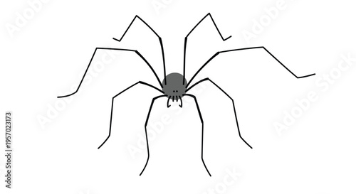 Minimalist illustration of a daddy longlegs spider, featuring an oval body and extraordinarily long, thin legs, against a white background.