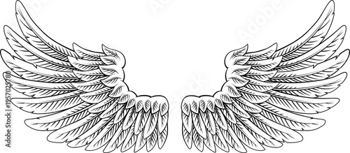 A pair of angel, eagle or p...