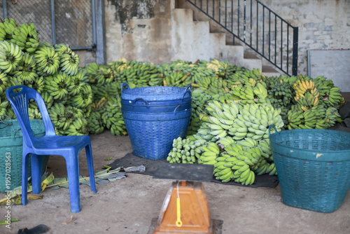 Large pile of green bananas waiting for processing outside near blue plastic chair and baskets creating calm industrial agricultural atmosphere under concrete stairs near building