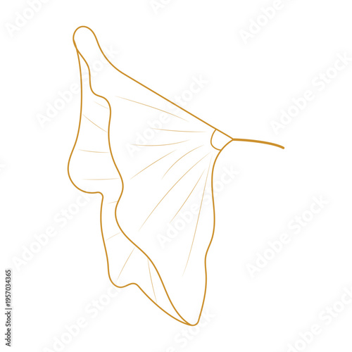 Golden morning glory. Flower isolated on a transparent or white background. Close-up of a plant element for design decoration. Line drawing. Doodle.