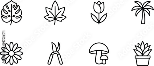 A collection of simple line drawings of various plants and gardening tools