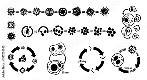 Microbial Lifecycle and Infection Flow Diagram Black Silhouette Scientific Elements Vector Illustration
