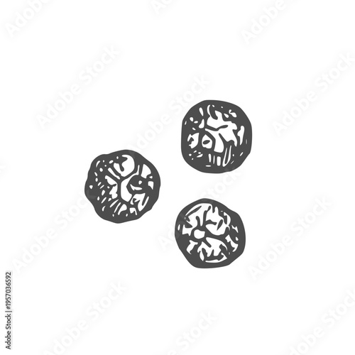 Black pepper seasoning. Hand drawn ink sketch.