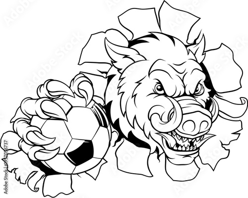 A wild boar, hog razorback ...
