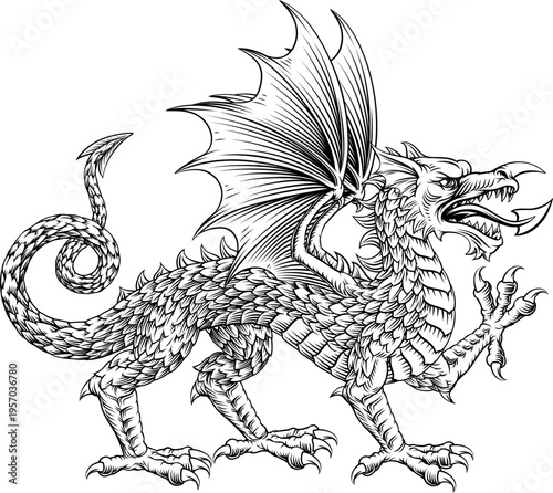A stylised heraldry coat of arms crest style Welsh dragon in passant walking pose in a vintage woodcut style