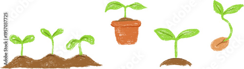 Crayon textured illustrations of young green seedlings growing in soil and clay pots. Focus on plant life cycle and growth stages with hand drawn artistic feel