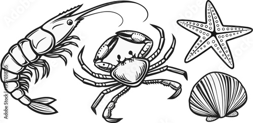 A detailed monochrome illustration featuring various marine creatures. The composition includes a shrimp in the upper left, angled toward the left, alongside a smaller shrimp in the middle, and a crab