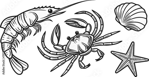 A detailed monochrome illustration featuring various marine creatures. The composition includes a shrimp in the upper left, angled toward the left, alongside a smaller shrimp in the middle, and a crab
