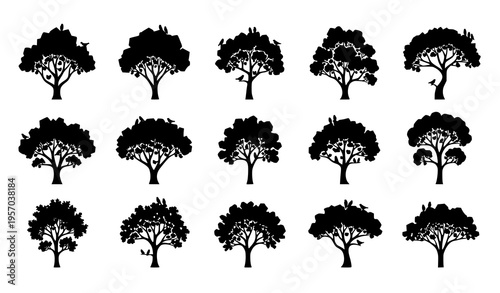 Modern tree silhouette icon set with unique canopy patterns and birds minimalist forest vector collection