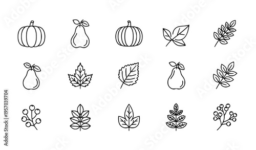 Autumn harvest line art icon set with pumpkin pear leaves and berries minimalist vector collection isolated