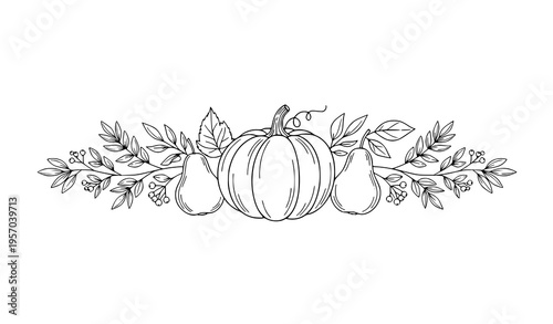 Elegant autumn harvest line art with pumpkin pear leaves and berries vector botanical composition isolated