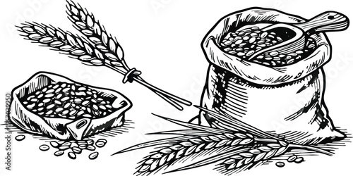 A detailed, black and white illustration of various agricultural elements is presented against a transparent background. Several sacks filled with grains are shown, one open and spilling its contents,