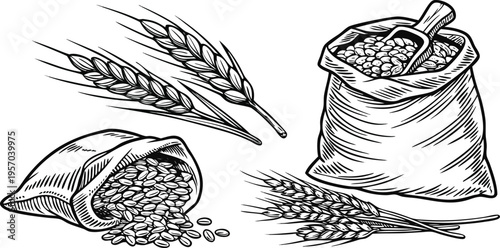 A detailed, black and white illustration of various agricultural elements is presented against a transparent background. Several sacks filled with grains are shown, one open and spilling its contents,