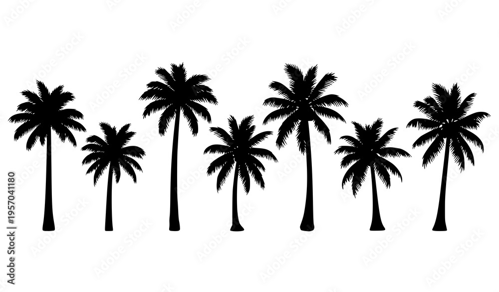 Obraz premium Palm tree silhouettes set tropical black vector collection isolated on white background