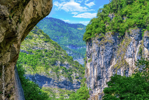 Photography Mountain rock in selective focus with sun glare in the Ritsa Relict National Park, Abkhazia