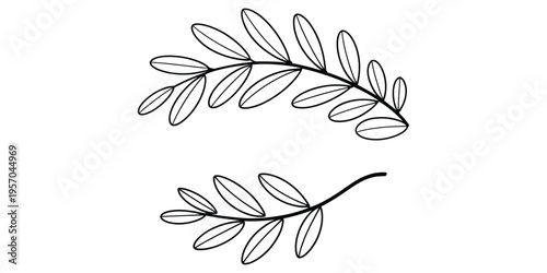 Minimalist hand drawn black and white illustration of two curved leafy branches with small leaves