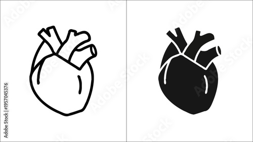 A black and white comparison showing an outline and solid silhouette of a human heart organ icon Vector