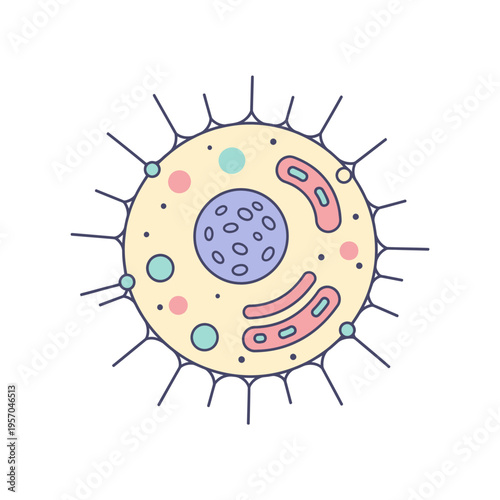 Stylized Animal Cell Illustration with Nucleus, Mitochondria, and Spikes